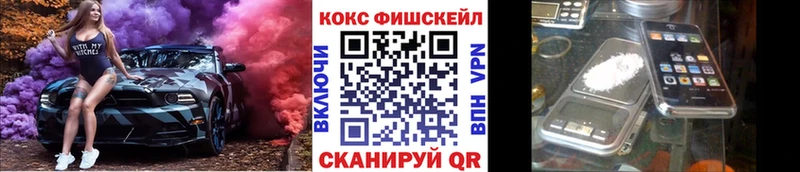Кокаин FishScale  продажа наркотиков  Южа 