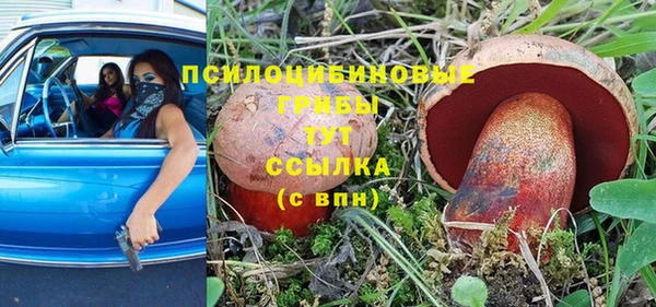 ПСИЛОЦИБИНОВЫЕ ГРИБЫ Михайловск