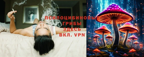 ПСИЛОЦИБИНОВЫЕ ГРИБЫ Михайловск