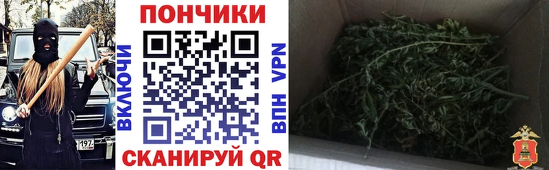 купить   Южа  маркетплейс Telegram  Конопля SATIVA & INDICA 